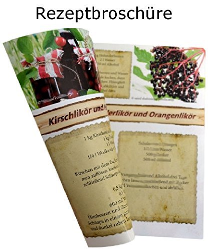 gouveo 48er Set leere eckige Einmachgläser „Quadrat“ 314 ml incl. Drehverschluss Gold, Vorratsgläser, Marmeladengläser, Einkochgläser, Gewürzgläser, Einweckgläser (48 Gläser Gold) - 2