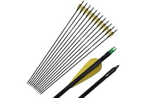 e5e10 12Pcs Fiberglass Arrows 33" Target Practice Arrows with Black and Yellow Fletches Unchangeable Sealed Tips for Recurve and Compound Bow Hunting