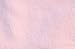 Weri Spezials Baby and Children Tights, Ornaments of Flowers , Pink Size: 3-4 years (98/104)