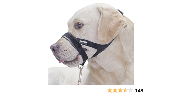 fomate dog muzzle