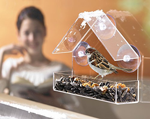 UPP Products Fenster Vogelhaus / Vogel Futterhaus / Futterstation tranparent