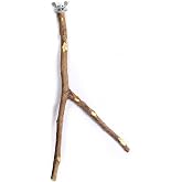 Doğal Ağa&ccedil; &Ccedil;atallı Kuş T&uuml;neği Papağan T&uuml;nek Kafes İ&ccedil;in Doğal Ahşap Dal T&uuml;nek Boy 25-30 cm
