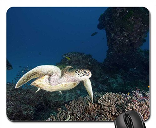 Preisvergleich Produktbild Tranquil Turtle Maus Pad, Mauspad