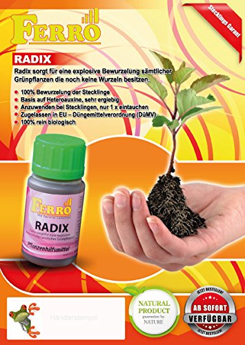 Radix „Der Wurzelmacher“ (zugel. Clonex-Ersatz) - 2