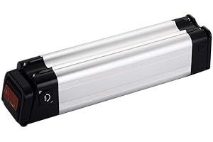 HANERIDE Ebike XH259-10J Bici Elettrica Pedelec 24V（25.9V） 15.6Ah 374.4Wh Batteria al Litio per MIFA Phylion Prophet Rex