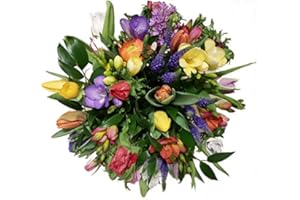 Blumenstrauß zum Geburtstag oder einfach mal so -bunter Mix an Blumen der Saison- Flora Trans