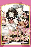 Junjo Romantica 15 (15) by 