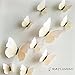 12 Pieces 3D Butterfly Stickrs Fashion Design DIY Wall Decoration House Decoration Babyroom Decoration-BEIGE