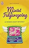 Minitel et fulguropoing