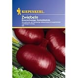Kiepenkerl Zwiebeln Braunschweiger