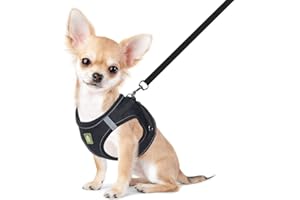 FEimaX Arnés para Perro y Conjunto de Correa, Acolchado con Malla Suave, Chaleco para Cachorros Reflectante y Ajustable para Perros y Gatos Pequeños