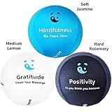 3x Mind & Body Stress Ball - AROMATHERAPY & POSITIVE QUOTES! Free mindfulness E-Book & colouring book. Hand therapy exercises Included.The perfect anti-stress relief toys for adults & kids