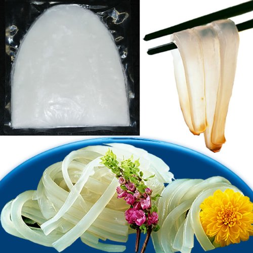 お刺身 イカ の王様『 アオリイカ 1枚』　（LLサイズ 約260gから290g）