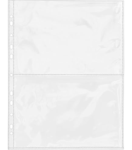 100 Prophila Envelope Sleeves – Clear Plastic Sleeves For Letters, 2-Pocket, 4-Ring Binder