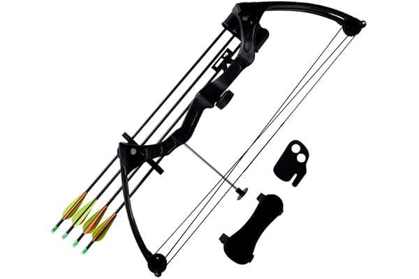vidaXL Arc à Poulies pour Adolescent avec Accessoires Flèches en Aluminium