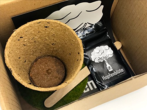 HOPFENBLÜTE Männergeschenk – Woodora Hopfen Samen Anzuchtset – Geschenk für Bierliebhaber – witziges Geburtstagsgeschenk - 6