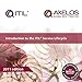Introduction to the ITIL service lifecycle by 