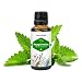 Peppermint Oil 15ml RS.189.00