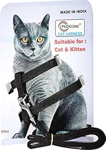 Pedigone Rabbit Cat Harness with Leash Specially for Rabbit, Small Dogs, Puppies, Cat & Kitten Rabbit Harness Leash (Black)