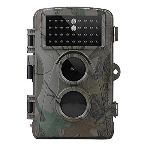 XRY Caméra de Chasse Caméra de Chasse - 12 MP - Écran LCD de 6,1 cm - LED IR - Vision Nocturne jusqu'à 20 m - Temps de déclenchement 0,2 s - Étanche IP56 - Design protégé pour la Maison et Le Bureau
