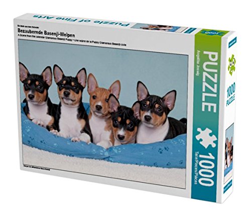 Ein Motiv aus dem Kalender Bezaubernde Basenji-Welpen 1000 Teile Puzzle quer: Welpen der afrikanischen Rasse Basenji (CALVENDO Tiere)