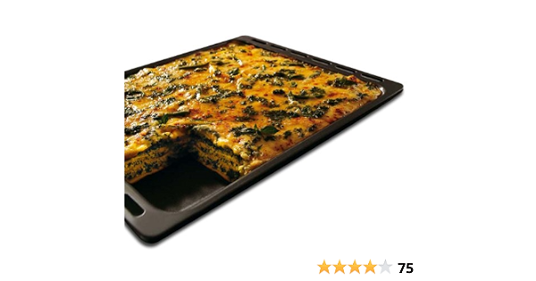 شاطئ البحر فهرنهايت نوم خشن leccarda forno microonde whirlpool amazon -  sayasouthex.com