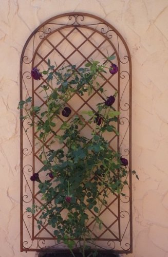 Rankgitter Spalier Wand Rankhilfe Sichtschutz Metall Provence ROST
