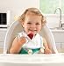 Munchkin, Fresh Food Freezer Pops, 6 Pops