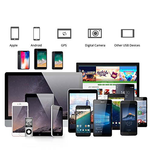 CABBRIX 2in1 Micro USB / Lightning Daten- und Ladekabel für iPhone 5 5S 6 6S 7 Plus, iPad mini 2 3 4 Air 2, Samsung Galaxy S3 S4 S5 mini S6 S7 Edge A3 A5 J5 Note 4 5, Huawei P8 Lite, Lumia 650, Sony, Android, Gamepad Controller XBOX PS4 2 Meter - 6