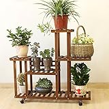 bonsai zero pino ★ como la luz y el ángulo de tiro, el color es ligeramente diferente; Medición manual, un pequeño error