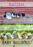 Postkartenbuch Katzen/Hunde by
