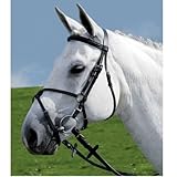 gerades Stirnband Waldhausen Trense Mexico City mex, schwarz, WB, schwarz, Warmblut