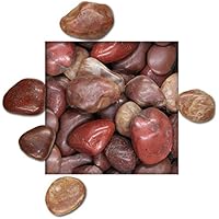 Suchergebnis Auf Amazon De Fur Kies Rot Garten