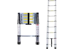 EGTink Échelle Multifonctions 2,6M,Échelle Télescopique en Aluminium,Escabeau Telescopique Pliable,Multifonction Extensible Pliable,Charge Max 150 kg,Argent