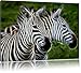 Produktbild schönes Zebrapaar Spezial Format: 100x70 cm auf Leinwand, XXL riesige Bilder fertig gerahmt mit Keilrahmen, Kunstdruck auf Wandbild mit Rahmen, günstiger als Gemälde oder Ölbild, kein Poster oder Plakat