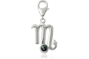 TEMPELWELT Charm Sternzeichen Anhänger Skorpion 20mm, 925 Sterling Silber mit Schneeflocken Obsidian, Sternbild für Armband Kette