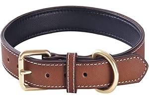 QWBWAN Genuine Leather Padded Dog Collar Comfortable Strong Soft Collars Best for Small Medium and Large Breed Dogs （Brown）(M)