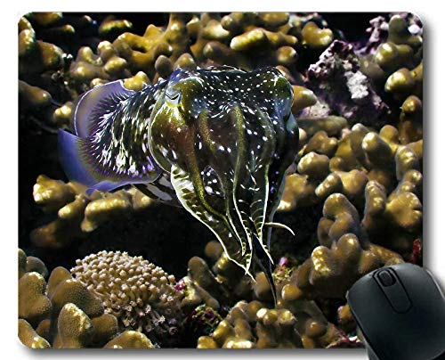 Preisvergleich Produktbild Mauspad-Gaming, Aquarium Thema voller Persönlichkeit Gaming Mouse Pads