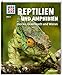 Produktbild WAS IST WAS Band 20 Reptilien und Amphibien. Gecko, Grasfrosch und Waran (WAS IST WAS Sachbuch, Band 20)