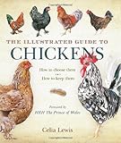 Image de Illustrated Guide to Chickens