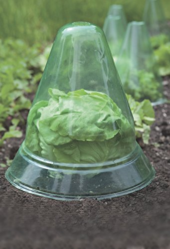 Windhager 05589 Pflanzenhut Durchmesser 24 cm, 10 Stück - 2