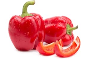 ‎QUAST MEERRETTICH Rote Paprika | Frische Farbenfrohe Paprika (Rot, 1 KG)