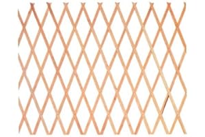 GDLC Traliccio Estensibile in Legno Dimensioni 100x300 Cm.