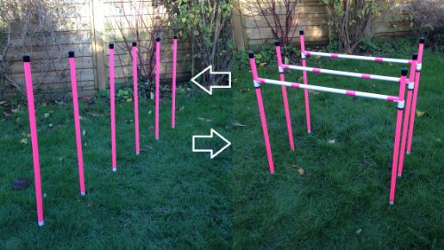 pink-dog-agility-weave-poles-which-convert-to-3-dog-agility-training-jumps-due-to-amazons-new-postage-policy-we-can-only-post-this-item-to-mainland-uk-England-Wales-and-Scotland-only