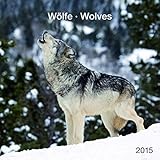 Image de Wölfe 2015 - Wolves - Broschürenkalender (30 x 60 geöffnet) - Tierkalender