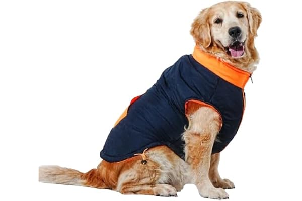 Barks & Wags Winter Jacket for Dogs Warm Waterproof & Windproof Coat for Pets Practical and Stylish (Navy Orange, XXL)