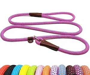 BTINESFUL 5FT Durable Slip Lead Rope Dog Leash, No Pull Nylon Training Leash for Medium Large Dogs, 1/2