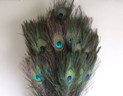 Pfauenfedern Natur ca.80-90cm lang