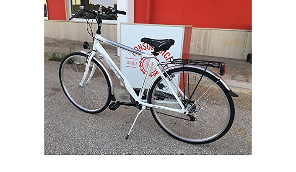 REGINA Bici Bicicletta 28' New Venezia Uomo Silver Grigio : Amazon.it:  Sport e tempo libero