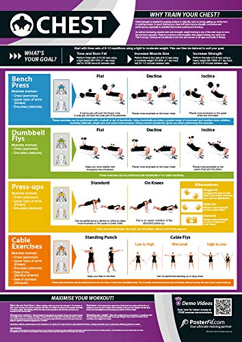 Chest Exercise | Full Chest Workout | Improves Strength Training | Laminated Gym and Home Poster with Online Video Training Support | Size - 594mm x 420mm (A2) | Improves Personal Fitness!